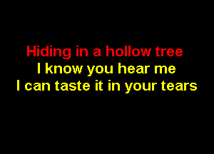 Hiding in a hollow tree
I know you hear me

I can taste it in your tears