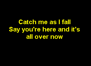 Catch me as I fall
Say you're here and it's

all over now