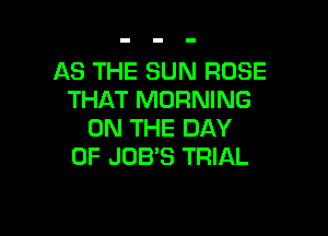 AS THE SUN ROSE
THAT MORNING

ON THE DAY
OF JOB'S TRIAL