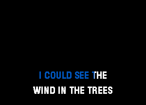 I COULD SEE THE
WIND IN THE TREES