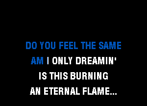 DO YOU FEEL THE SAME
AM I ONLY DREAMIN'
IS THIS BURNING

AH ETERNAL FLAME... l