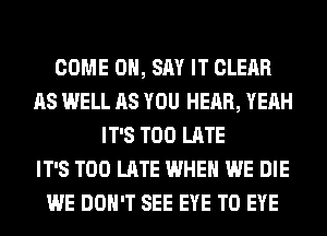 COME ON, SAY IT CLEAR
AS WELL AS YOU HEAR, YEAH
IT'S TOO LATE
IT'S TOO LATE WHEN WE DIE
WE DON'T SEE EYE T0 EYE