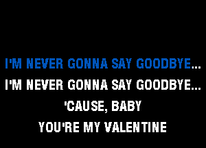 I'M NEVER GONNA SAY GOODBYE...
I'M NEVER GONNA SAY GOODBYE...
'CAUSE, BABY
YOU'RE MY VALENTINE