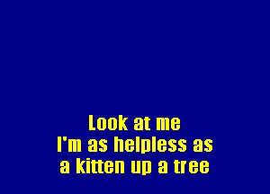 look at me
I'm as nelnless as
a kitten HI! 3 tree