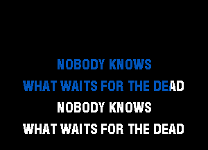 NOBODY KNOWS
WHAT WAITS FOR THE DEAD
NOBODY KNOWS
WHAT WAITS FOR THE DEAD