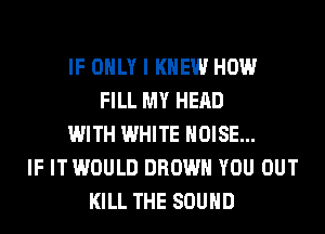 IF ONLY I KNEW HOW
FILL MY HEAD
WITH WHITE NOISE...
IF IT WOULD BROWN YOU OUT
KILL THE SOUND