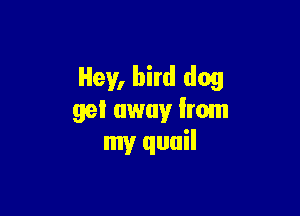 Hey, bird dog

gel away Irom
my quail