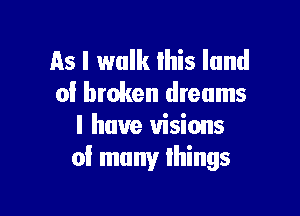 as I walk this land
of broken dreams

I have visions
of many things