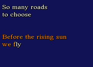 So many roads
to choose

Before the rising sun
we fly