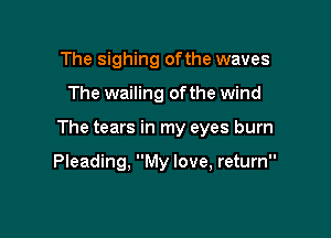 The sighing ofthe waves

The wailing of the wind

The tears in my eyes burn

Pleading, My love, return