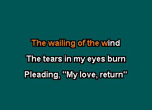 The wailing of the wind

The tears in my eyes burn

Pleading, My love, return