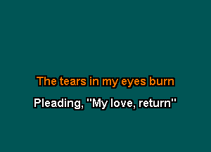 The tears in my eyes burn

Pleading, My love, return