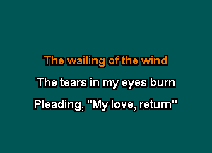 The wailing of the wind

The tears in my eyes burn

Pleading, My love, return