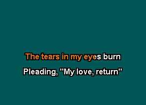 The tears in my eyes burn

Pleading, My love, return