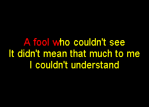 A fool who couldn't see

It didn't mean that much to me
I couldn't understand