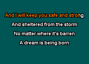 And I will keep you safe and strong
And sheltered from the storm

No matter where it's barren

A dream is being born
