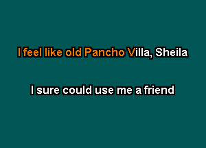 lfeel like old Pancho Villa, Sheila

I sure could use me a friend