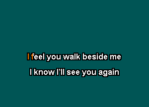 lfeel you walk beside me

I know PM see you again