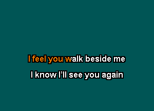 lfeel you walk beside me

I know PM see you again