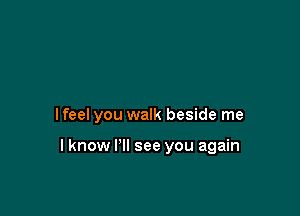 lfeel you walk beside me

I know PM see you again