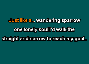 Just like a... wandering sparrow

one lonely soul I'd walk the

straight and narrow to reach my goal...