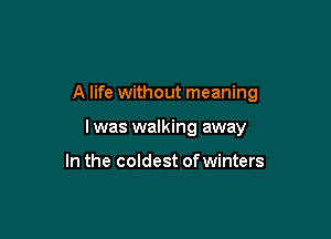 A life without meaning

I was walking away

In the coldest of winters