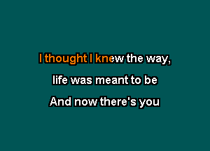 I thought I knew the way,

life was meant to be

And now there's you