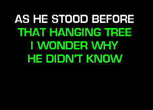 AS HE STOOD BEFORE
THAT HANGING TREE
I WONDER WHY
HE DIDN'T KNOW