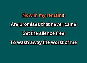 Now in my remains
Are promises that never came

Set the silence free

To wash away the worst of me