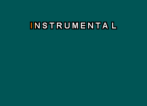 INSTRUMENTA L