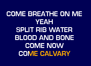 COME BREATHE ON ME
YEAH
SPLIT RIB WATER
BLOOD AND BONE
COME NOW
COME CALVARY