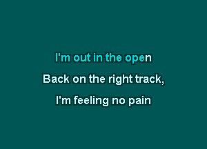 I'm out in the open

Back on the right track,

I'm feeling no pain