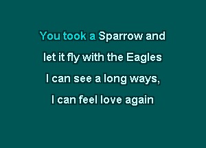 You took a Sparrow and

let it fly with the Eagles

I can see a long ways,

I can feel love again