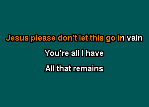 Jesus please don't let this go in vain

You're all I have

All that remains