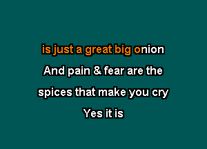 is just a great big onion

And pain 8 fear are the

spices that make you cry

Yes it is