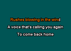 Rushes blowing in the wind

A voice that's calling you again

To come back home