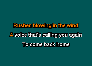 Rushes blowing in the wind

A voice that's calling you again

To come back home