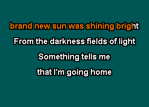 brand new sun was shining bright
From the darkness fields of light

Something tells me

that I'm going home
