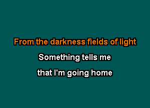 From the darkness fields of light

Something tells me

that I'm going home