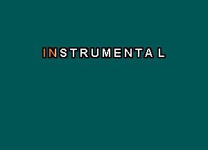 INSTRUMENTA L