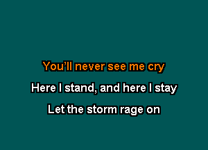 Yowll never see me cry

Here I stand, and here I stay

Let the storm rage on