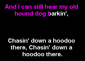 And I can still hear my old
hound dog barkin',

Chasin' down a hoodoo
there, Chasin' down a
hoodoo there.