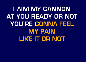 I AIM MY CANNON
AT YOU READY OR NOT
YOU'RE GONNA FEEL
MY PAIN
LIKE IT OR NOT