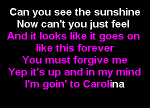 Can you see the sunshine
Now can't you just feel
And it looks like it goes on
like this forever
You must forgive me
Yep it's up and in my mind
I'm goin' to Carolina