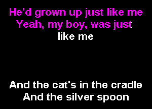 He'd grown up just like me
Yeah, my boy, was just
like me

And the cat's in the cradle
And the silver spoon