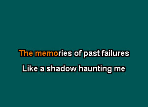 The memories of past failures

Like a shadow haunting me