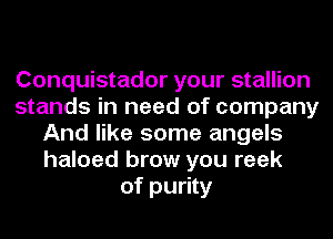 Conquistador your stallion
stands in need of company
And like some angels
haloed brow you reek
of purity