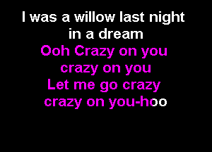 l was a willow last night
in a dream
Ooh Crazy on you
crazy on you

Let me go crazy
crazy on you-hoo