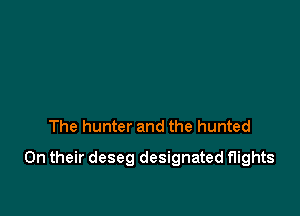 The hunter and the hunted

On their deseg designated flights