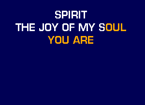 SPIRIT
THE JOY OF MY SOUL
YOU ARE